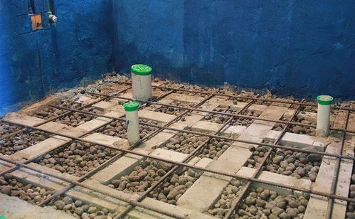 崇左花卉陶粒报价 优质选择助力隔热工程高效施工