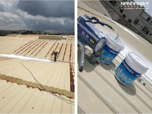 实力彰显 南天涂料承接梧州体训基地栅顶改造工程，打造卓越隔热性能新标杆